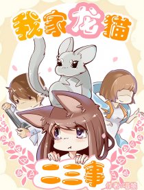 我家龙猫二三事