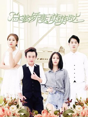 总裁娇妻萌萌哒