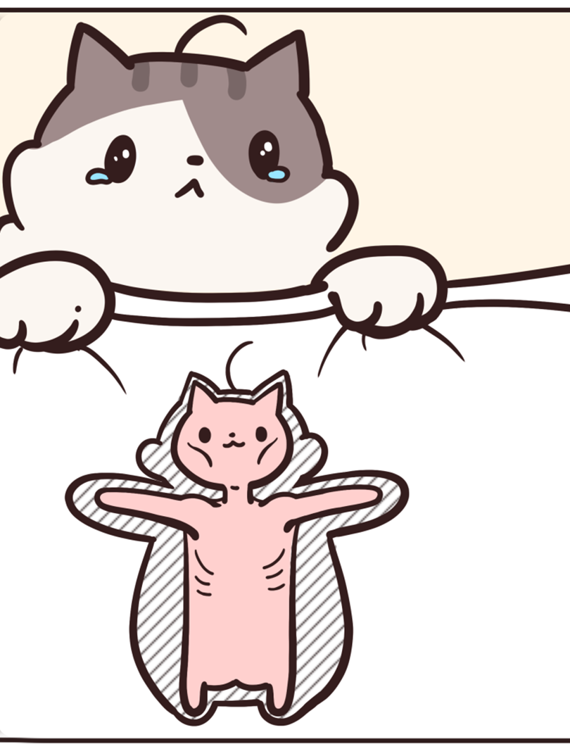 人家只是有那么一点点胖啦