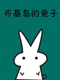 布基岛的兔子