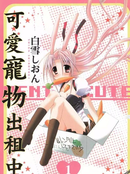 可爱宠物出租中