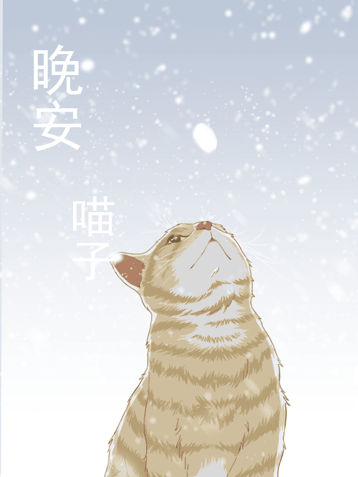 晚安 喵子